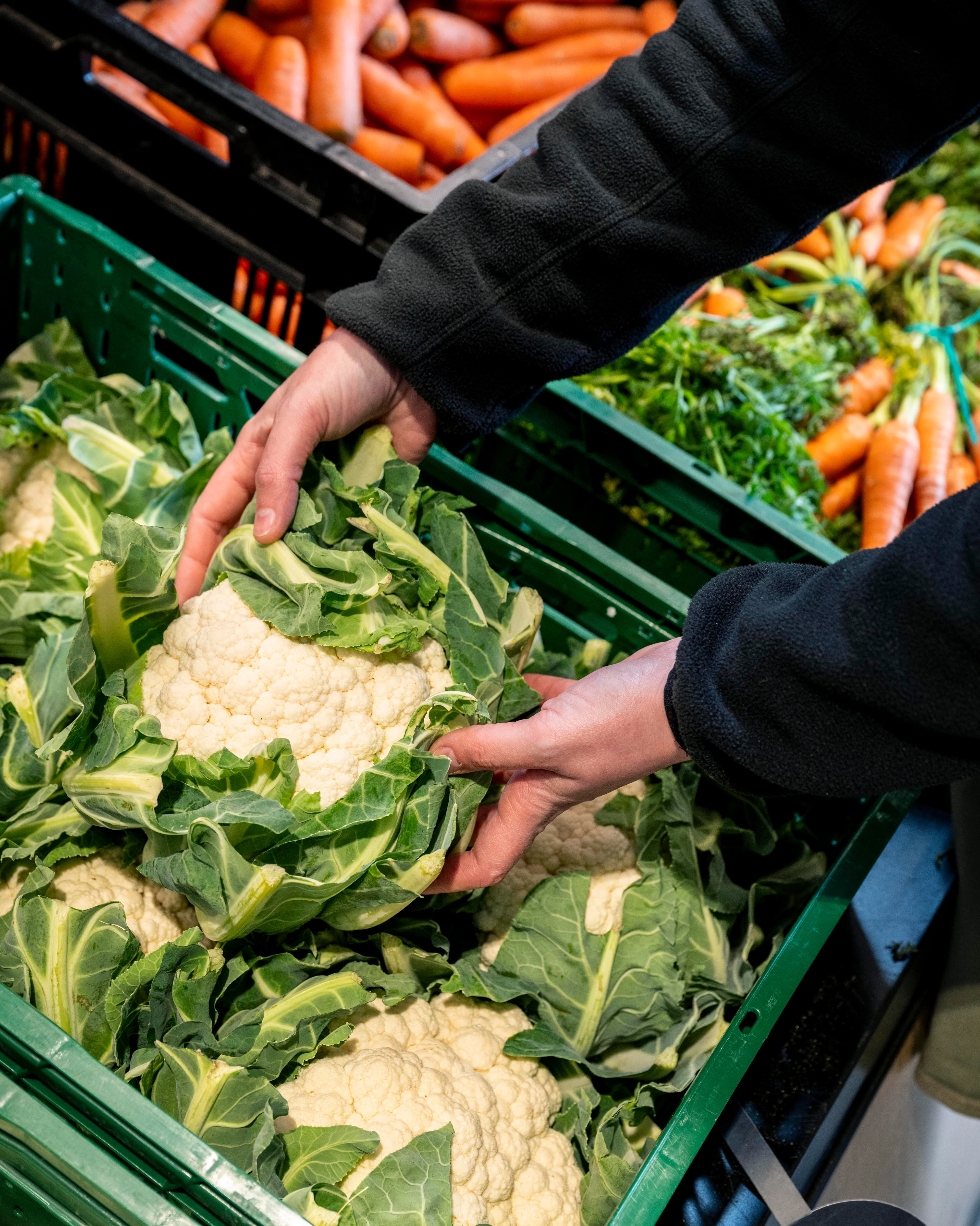 Portfolio Photography