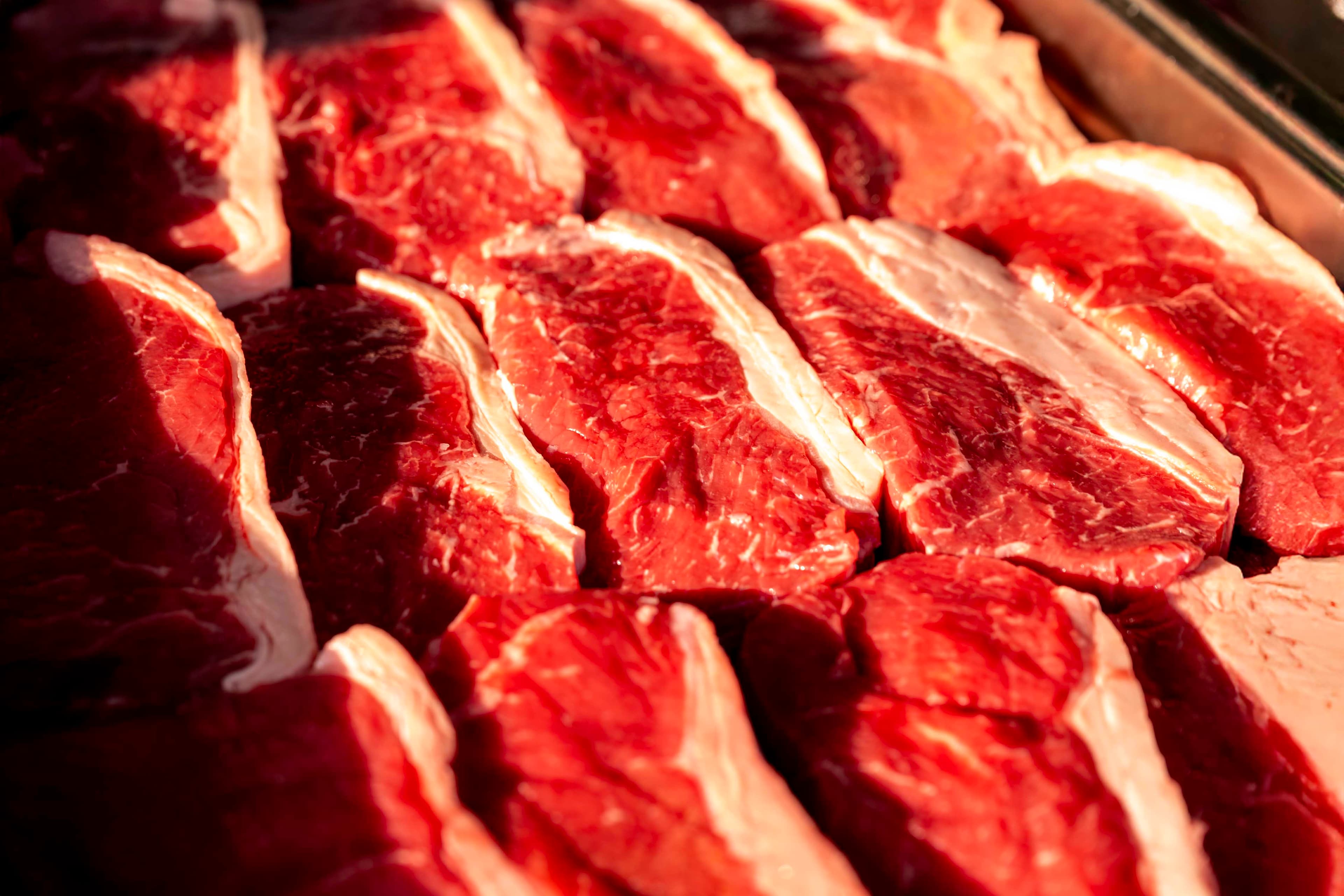 Portfolio Photography